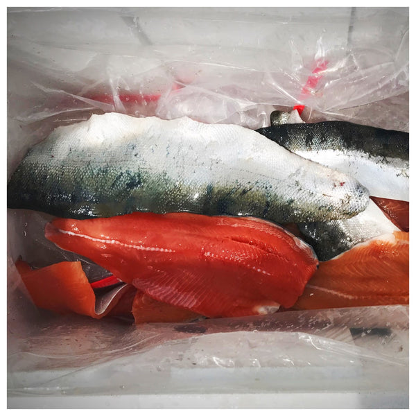 Plastic Cooler Liner – 2 Pack BPA Free Cooler Liners – 1XL Liner Fit 100 QT to 160 QT Coolers – 1 Large Liner Fit 50QT to 95QT Coolers