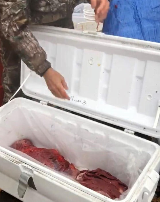 Copy of Liner 15 - 20 PACK