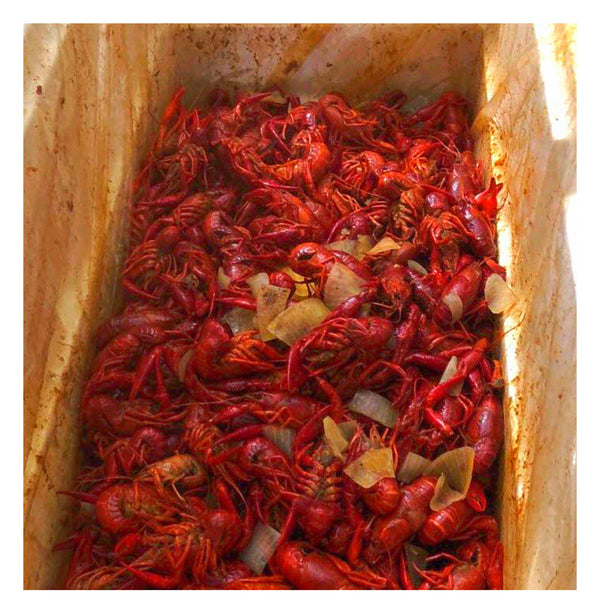 Liner 15 - Plastic Liner for the Inside of Coolers (3 pack)