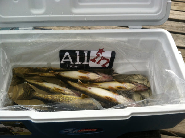 Liner 15 - Plastic Liner for the Inside of Coolers (3 pack)