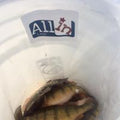 BUCKET