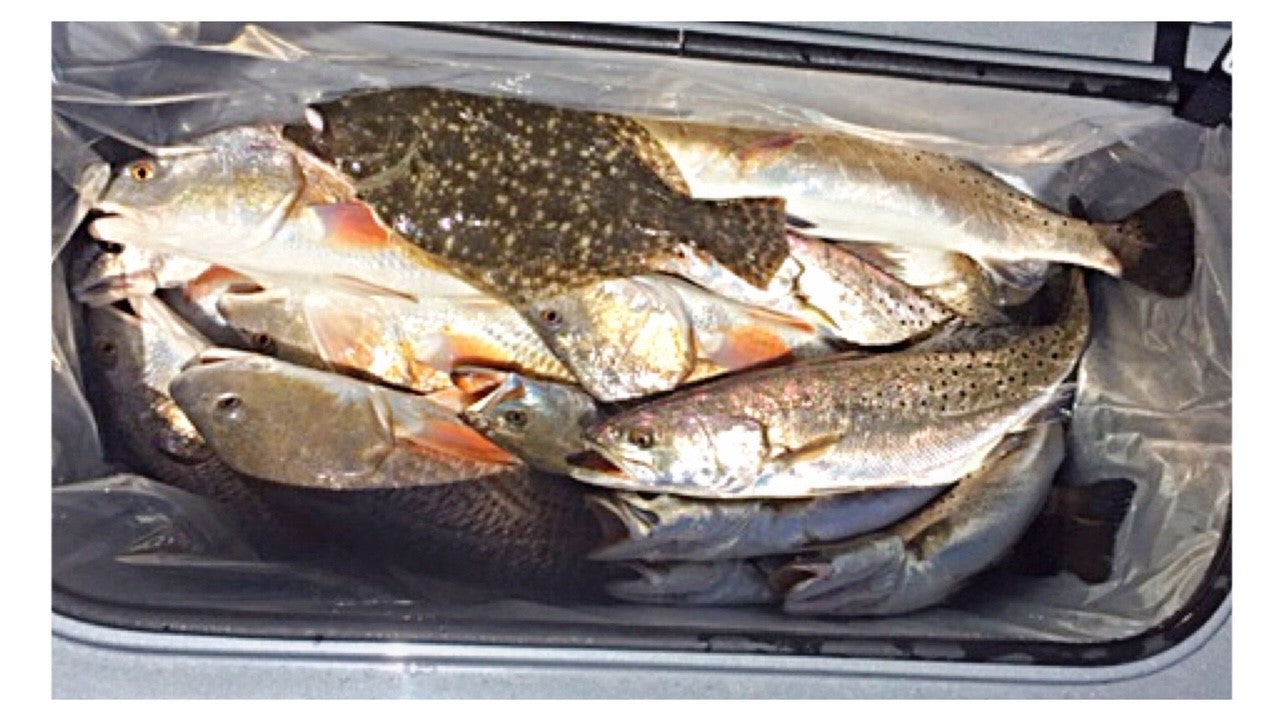 Liner 14 - Plastic Liner for the Inside of Coolers (3 pack)