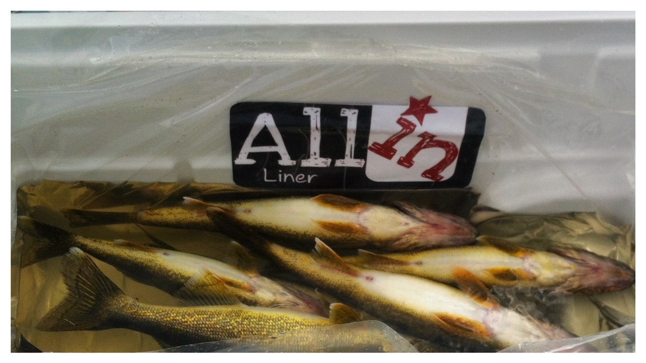 Liner 07 - Plastic Liner for the Inside of Coolers (3 pack)